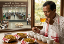 বিশ্বৰ বজাৰত অসমৰ চাহৰ জয়জয়কাৰ: ১ লাখ টকীয়া ‘মনোহাৰী গ’ল্ড’ৰ পাছত এতিয়া ‘স্পেচিয়েলিটি টী’ৰ দিশে অসম